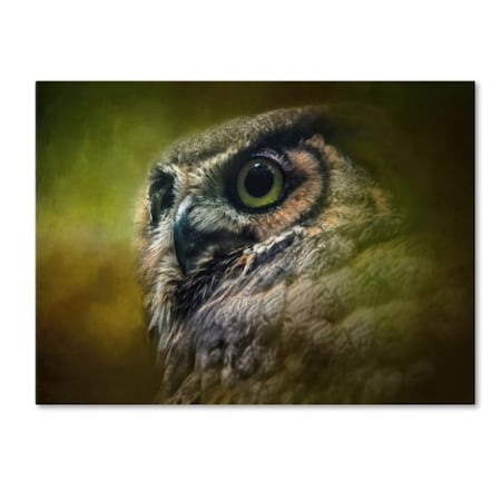 Jai Johnson 'Great Horned Owl In The Grove' Canvas Art,24x32